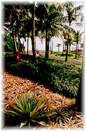 Wonderful gardens for the residents to enjoy